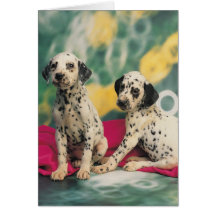 Dalmatian Puppies Card