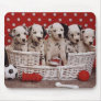 Dalmatian Puppies in a Basket Mousepad