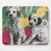 Dalmatian Puppies Mousepad mousepads