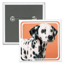 Dalmatian Puppies Square Pin