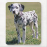 Dalmatian Puppy Dog Mousepad