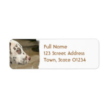 Dalmatian Puppy  Mailing Labels