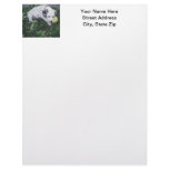 Dalmatian Puppy with a Ball Letterhead Design