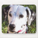 dalmation mouse mat