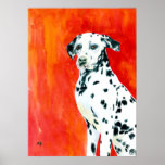 Dalmation Print