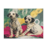 Dalmation Puppies Postcard