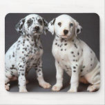 Dalmations Mousepad