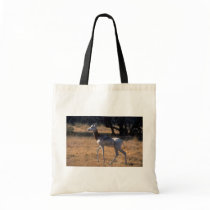 Dama Gazelle Canvas Bags