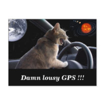 Damn lousy GPS !!!