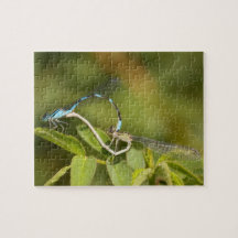 Damselflies Mating Jigsaw Puzzle