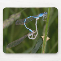 damselflys mouse mat