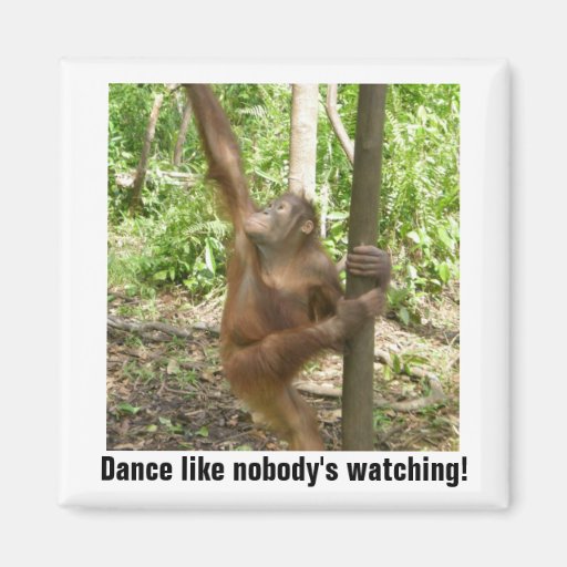 Dance Like Nobody's Watching Motivational Fridge Magnets