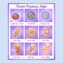 Dance of Life posters
