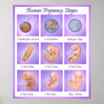 Dance of Life posters