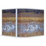 Dance of Sandhill Cranes Avery Binder