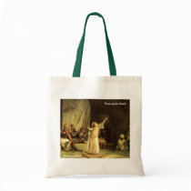 "Dance of the Almeh"... Belly Dancer's Bag