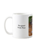 Dance of the Blue-footed Booby Bird Mug
