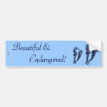 Dance Of The Seahorses (Blue) Bumper Stickers