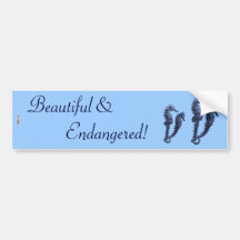 Dance Of The Seahorses (Blue) Bumper Stickers