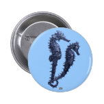 Dance Of The Seahorses (Blue) buttons