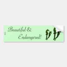 Dance Of The Seahorses (Green) Bumper Stickers