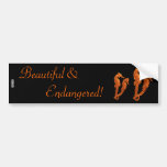 Dance Of The Seahorses (Orange) Bumper Stickers