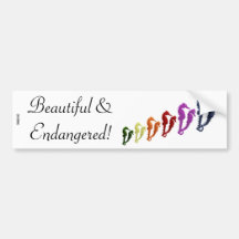 Dance Of The Seahorses Pop Art 1 Bumper Stickers