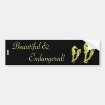 Dance Of The Seahorses (Yellow) Bumper Stickers
