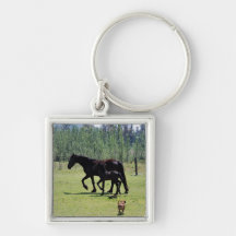Dance to the music in your soul key chains