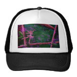 DANCE TRUCKER HAT