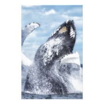 Dances with Whales Custom Stationery