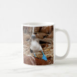 Dancing Booby, Isla Seymour, Galapagos Mug