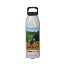 Dancing Cow Water Bottle