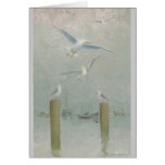 Dancing Gull
