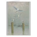 Dancing Gull cards