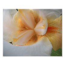 Dancing Iris Art Photo