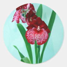 Dancing Ladies Orchids Stickers