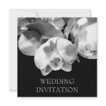Dancing Light/White Orchids Wedding Invitation