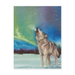 Dancing Lights howling wolf postcard