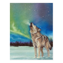 Dancing Lights howling wolf postcard
