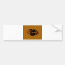 Dancing spiders bumper stickers
