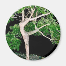 Dancing Tree Refrigerator Magnet