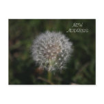 Dandelion Clock Flower New Address Card Postcards