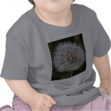 Dandelion Clock / Fluffy Parachutes Tshirt