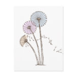 Dandelion Clocks blowing away in the breeze