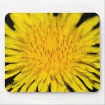 Dandelion Detail Mouse Pads