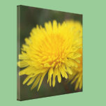 Dandelion dream. Pretty yellow wild flower canvas prints