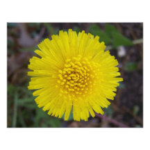 Dandelion Face Custom Invites