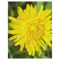 Dandelion Face Full Color Flyer