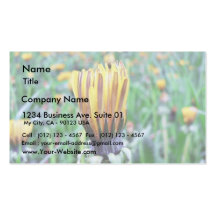 Dandelion Flower Almost In Bloom Business Card